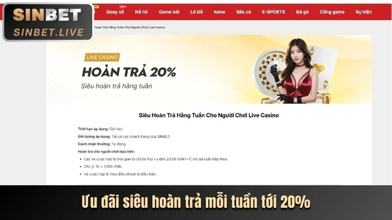 Các sự kiện đặc biệt 8k11111